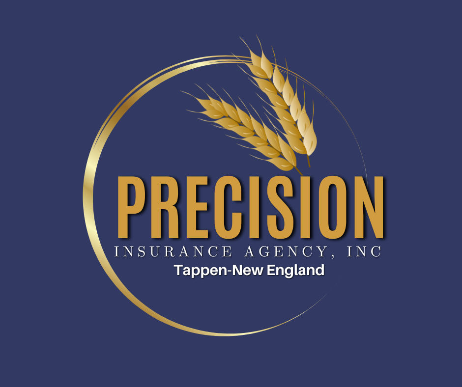 APPROVED-PRECISION INS LOGO (1)